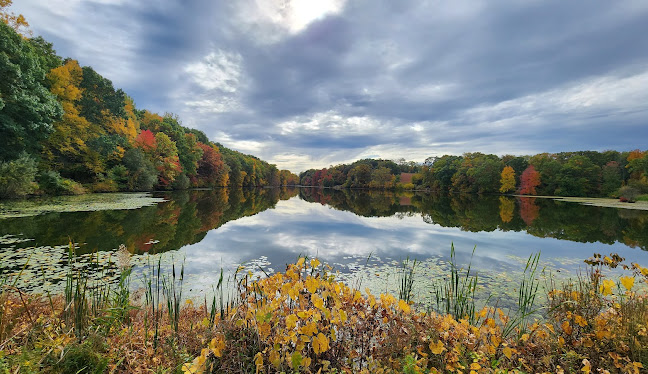 Briarcliff Manor, NY